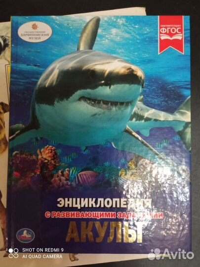 Энциклопедии : собаки, акулы
