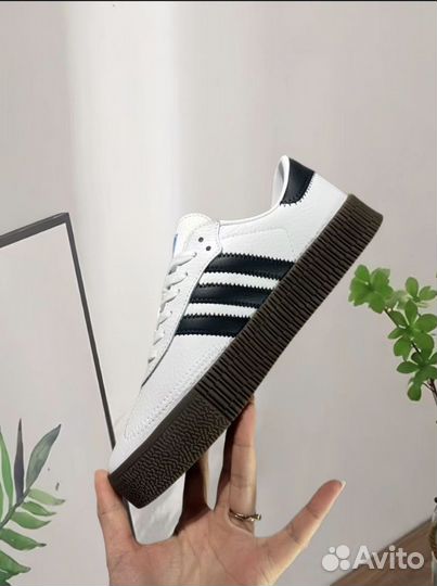 Adidas Samba Rose Cloud White