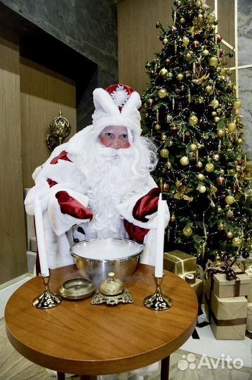 Дед Мороз и Снегурочка на дом в школу, кафе