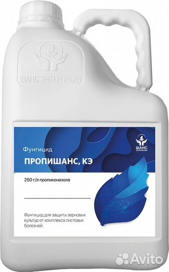 Пропишанс, кэ