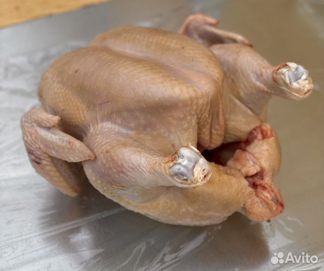 Мясо домашнего цыпленка бройлера