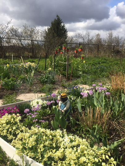 Коттедж 480 м² на участке 12 сот.