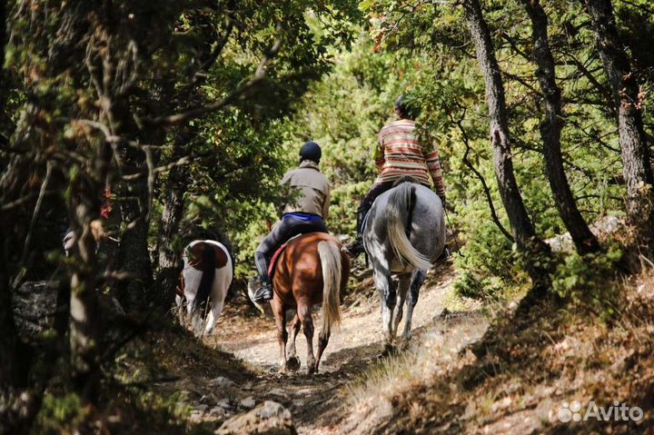 Конные прогулки,Верховая езда, катание на лошадях