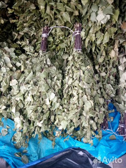 Березовые Веники для бани