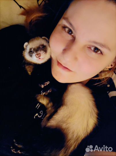 Передержка