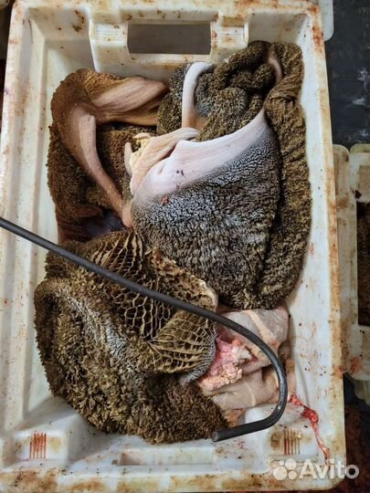 Корма для животных