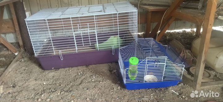 Клетка маленькая