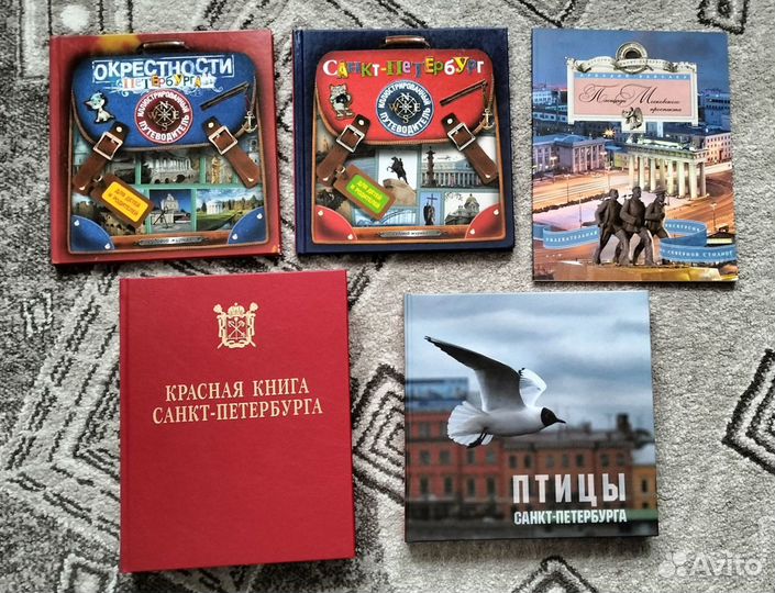 Детские энциклопедии, раскраски, книги про СПб