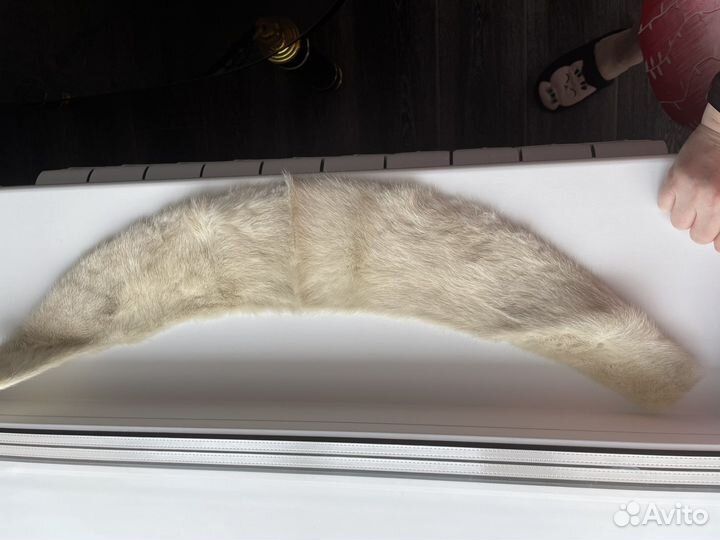 Воротник из меха норки