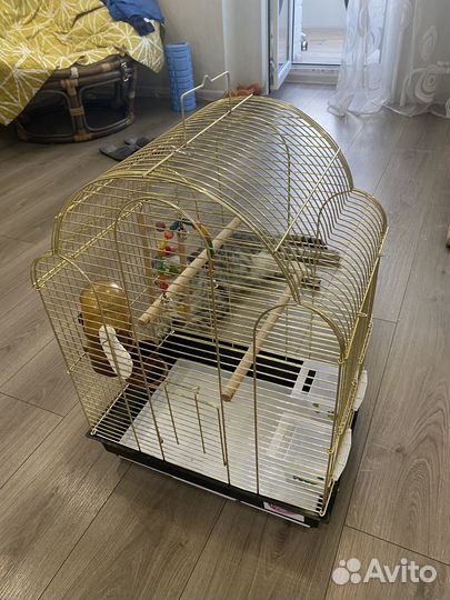Золотая клетка для птиц