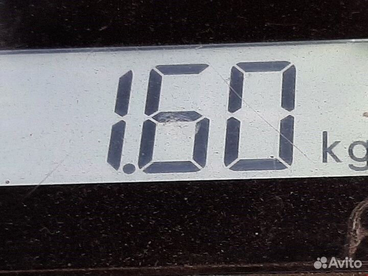 Интеркулер (радиатор интеркулера) Audi A4 B6