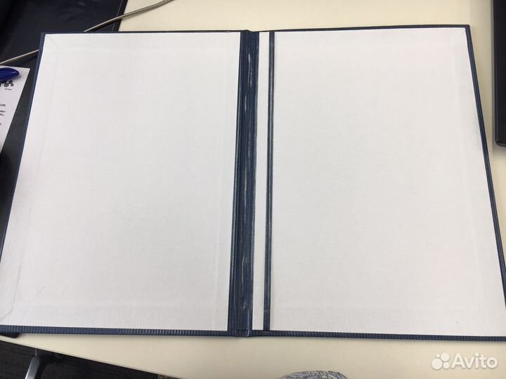 Две адресные папки синие