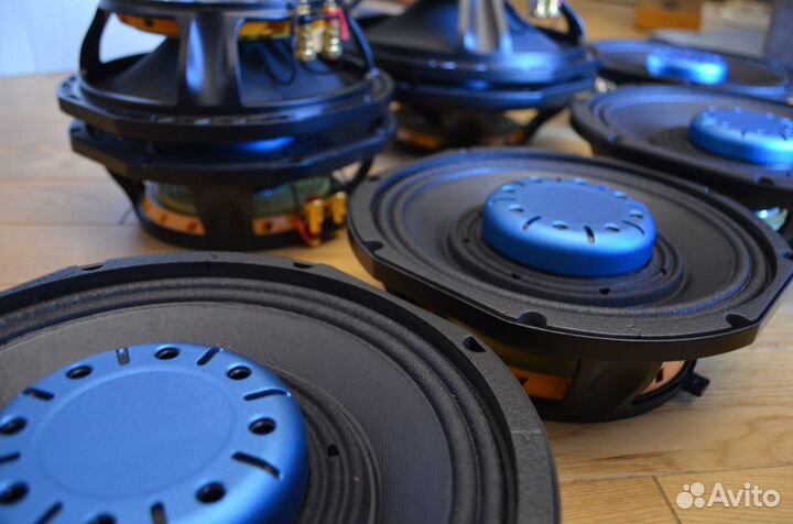 Мидбас в двери 8, 10, 12 дюймов 300/350/400 вт