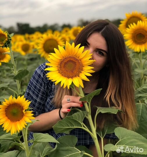 Няня в ночь / Бебиситтер