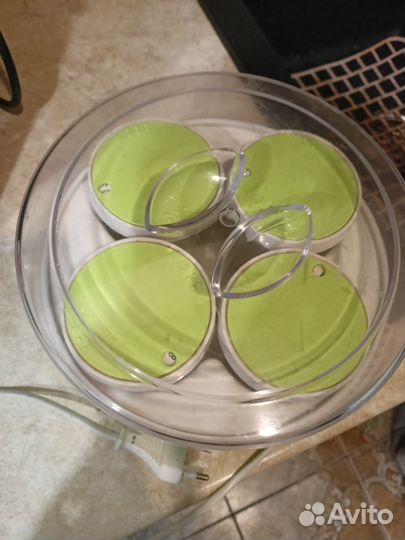 Йогуртница maxima