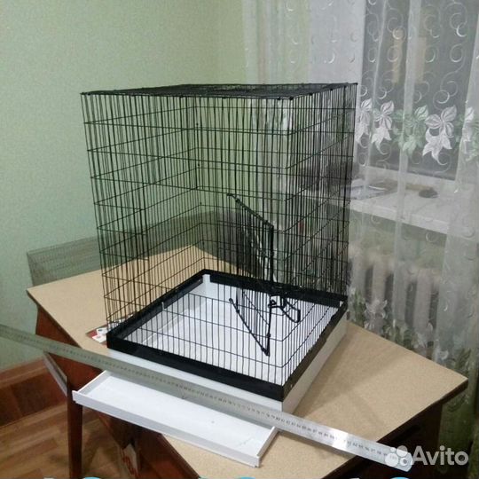 Клетки, вналичии