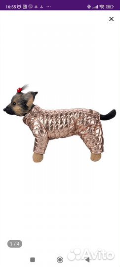 Комбинезон для мелких пород собак