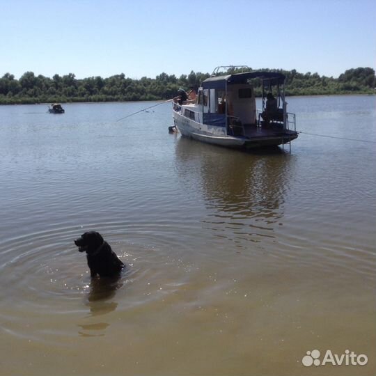 Катер 12.8м, мотор Д 243