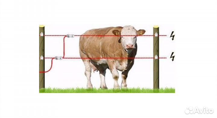 Электропастух