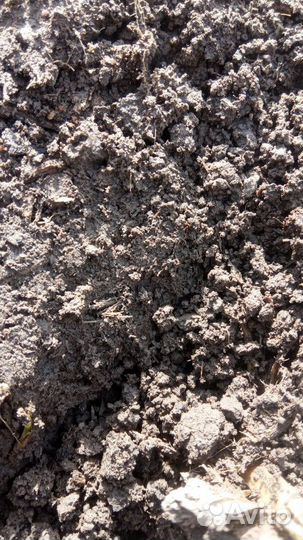 Чернозем навоз торф