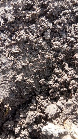 Чернозем навоз торф