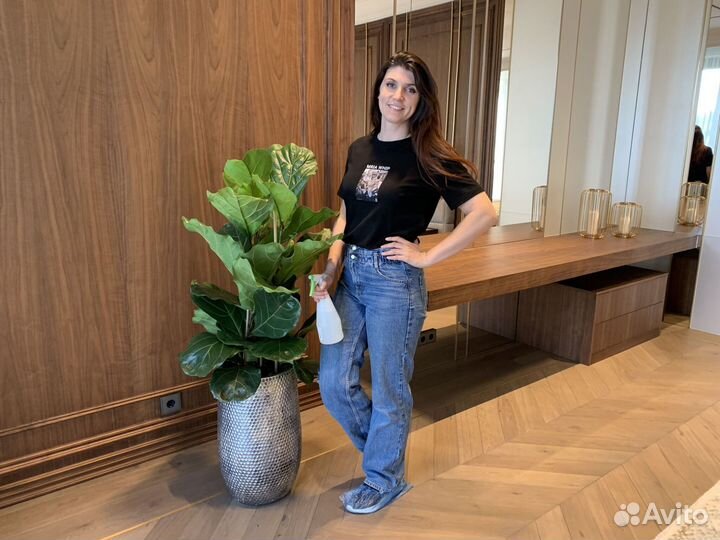 Озеленение квартиры