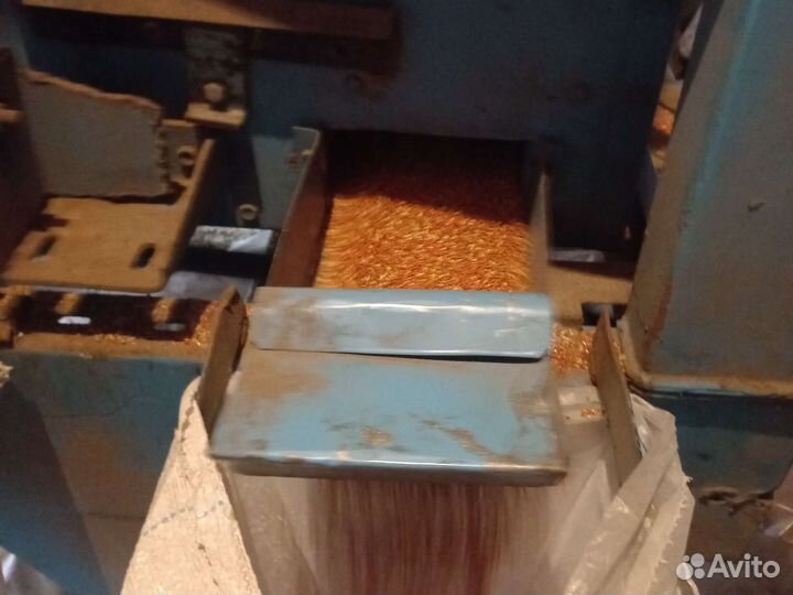 Просо красное