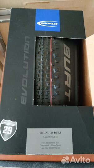 Schwalbe thunder burt 29