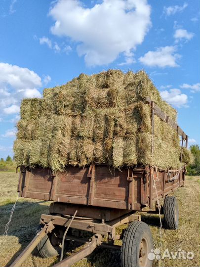 Сено луговое в тюках