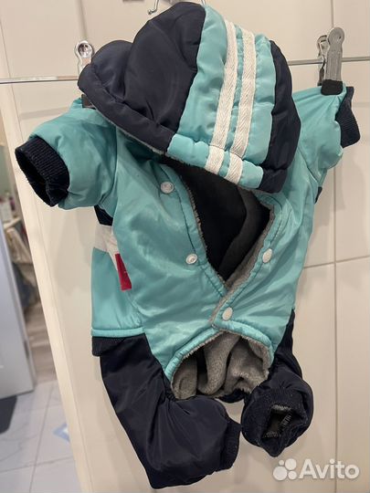 Одежда для собаки