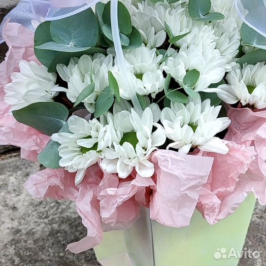 Цветы в плайм-пакете 222