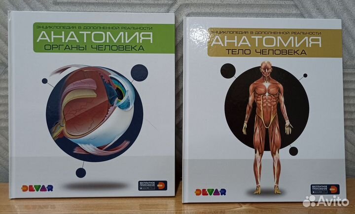 Анатомия человека. Книга