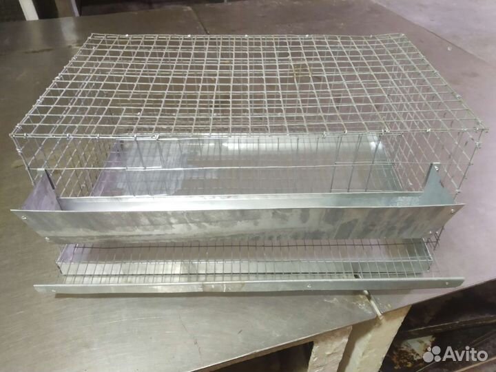 Клетка для перепелов