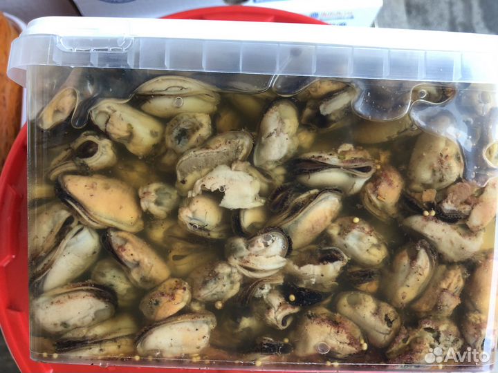 Мидии в масле 2кг