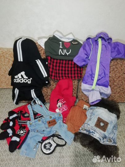 Одежда для маленьких собак