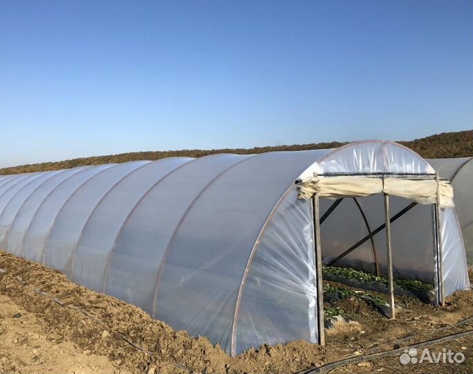 Пленка Экодолина для теплиц 6м\50м\150мкм