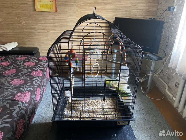 Клетка для попугаев