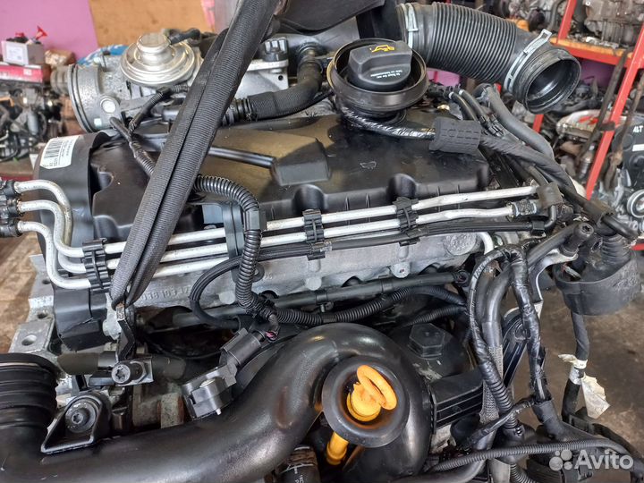 Двигатель BKC 1.9 TDI VW Passat B6, Golf 5, T5