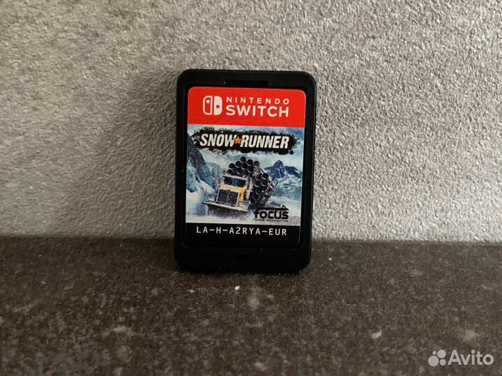 Snowrunner Nintendo Switch