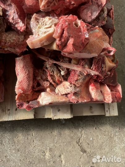 Мясо микс субпродуктов