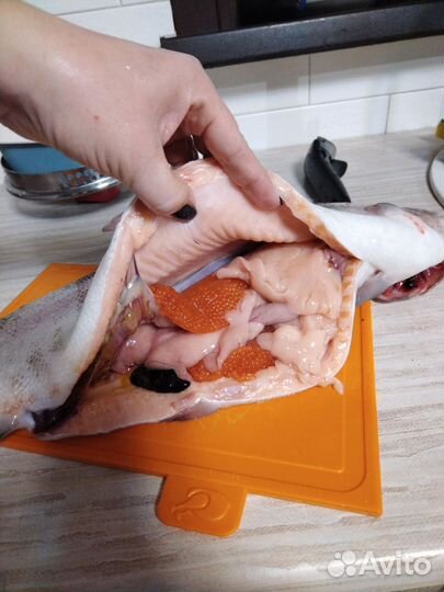 Форель охлажденная 2,5-3,5кг