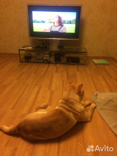 Подставка для телевизора sony SU-FL61