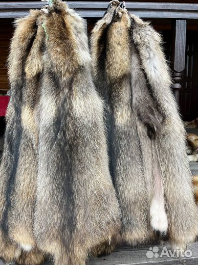 Натуральный мех енота