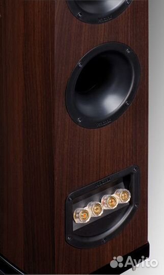 Напольная акустика Magnat Quantum (шестой серии)