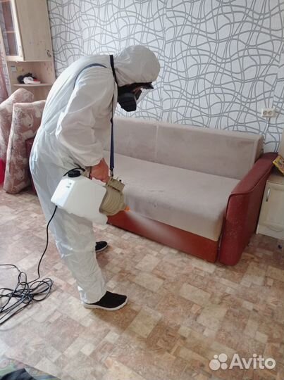 Уничтожение тараканов. Дезинсекция