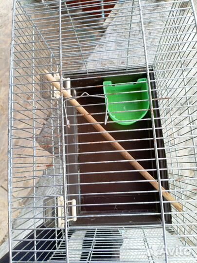 Клетка для попугаев