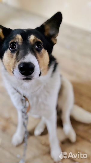 Молодой парень в добрые руки