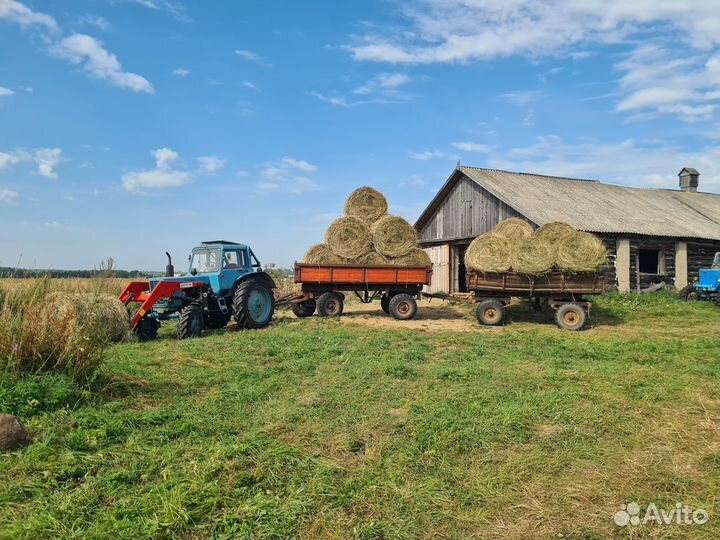Сено в рулонах