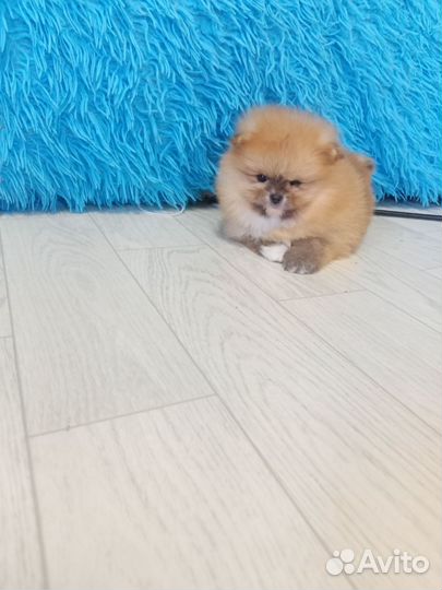 Девочка и мальчик