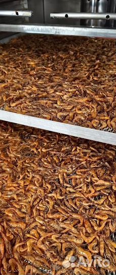 Креветка азовская с доставкой